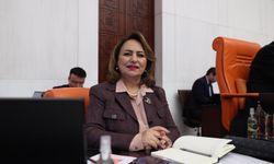 CHP'li Şevkin: “Adana Hak Ettiği Değeri Görmüyor”