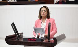 Şevkin TBMM Kürsüsünden Seslendi: “Artık Adana’yı İhmal Etmeyin”