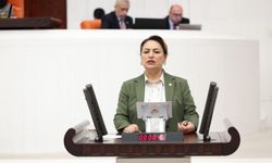 CHP’li Müzeyyen Şevkin TBMM’de Polislerin Sorunlarını Gündeme Taşıdı