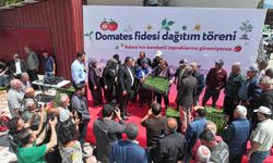 Aladağ’da 400 bin, Tufanbeyli ve Feke’de 100’er bin domates fidesi üreticiyle buluşturuldu