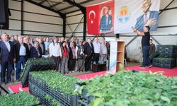 Aladağ üreticisine 400 bin domates fidesi… Kozan Girişimci Kadınlar Tarımsal Kalkınma Kooperatifi kuruldu