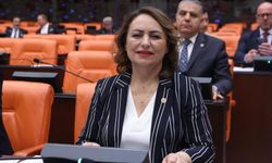 Müzeyyen Şevkin'den Meclis'te IBAN Dolandırıcılığı Uyarısı: "Vatandaş Yalnız Bırakılıyor"