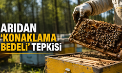 Babacan'dan arıcılardan alınacak 100 liralık konaklama bedeline tepki: "Bu nasıl destek sistemidir?"