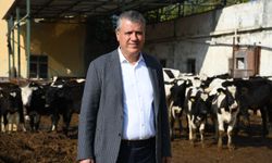 CHP’li Ayhan Barut’tan süt fiyatı tepkisi  “Üretici de tüketici de mağdur”
