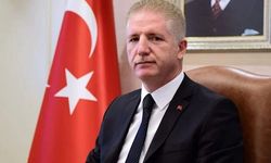 Vali Gül: “İstanbul’daki Sahipsiz Hayvanların Yüzde 65’i Toplandı”