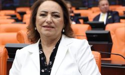 CHP'li Dr. Müzeyyen Şevkin TBMM'de gıda güvenliği ve gıda mühendislerinin haklarını gündeme taşıdı