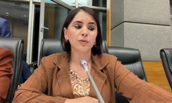 DEM Partili Newroz Uysal Aslan: "Çocuk Bakanlığı Kurulmalı"
