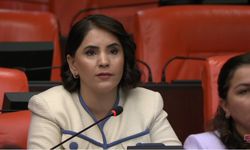 Nevroz Uysal Aslan: KHK mağduriyetleri giderilmeli, ihraç edilen akademisyenler görevlerine iade edilmeli