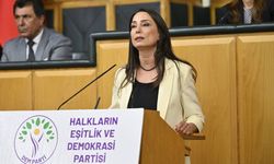 Hatimoğulları: Çerçeve yasa mutabakatla hazırlanmalı, çocuklara daha fazla ceza çözüm değil