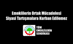 Tüm Emeklilerin Sendikası: "Emeklilerin Ortak Mücadelesi Siyasi Tartışmalara Kurban Edilemez"