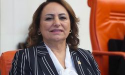CHP'li Müzeyyen Şevkin: "Emekliler Bu Maaşla Yaşayamaz"