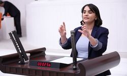 DEM Partili Nevroz Uysal Aslan'dan Silopi Termik Santrali'nin sağlık etkilerine ilişkin iki soru önergesi