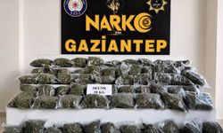 71 İlde Uyuşturucu Operasyonu: 844 Şüpheli Tutuklandı
