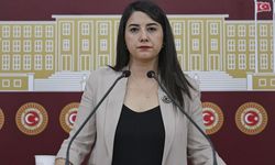 DEM Partili Dilan Kunt Ayan: “Urfa’ya verilen müjdeler tutulmadı”