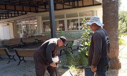 Ali Bedrettin Karataş: Karataş'ın Girişi Begonvillerle Renkleniyor