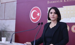 Nevroz Uysal Aslan: "Şax ve Hebler'de halkın toprağı güvenlik politikalarına kurban ediliyor"