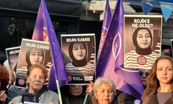 Kadın Cinayetlerini Durduracağız Platformu: Rojin Kabaiş’e ne oldu?
