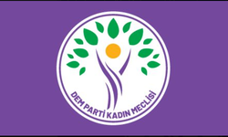 DEM Parti Kadın Meclisi’nden Rojin Kabaiş açıklaması: “Cinayetin üzerinin örtülmesine izin vermeyeceğiz”
