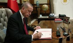 TBMM'de kabul edilen "çerçeve yasa" Cumhurbaşkanı Erdoğan'ın onayına sunuldu