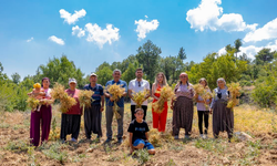 MERSİN BÜYÜKŞEHİR YEREL TOHUMLARI GELECEĞE TAŞIYOR