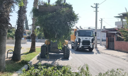 “AKDENİZ’İN PARK VE YEŞİL ALANLARI KORUMA ALTINDA”