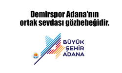 Demirspor Adana'nın ortak sevdası gözbebeğidir.