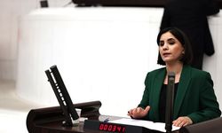 Nevroz Uysal Aslan: "Çocuğu Daha Ağır Cezalandırmak Değil, Devletin Koruma Sorumluluğunu Güçlendirmek Gerekir"