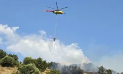 Orman Yangınları Soruşturmalarında 12 Şüpheli Tutuklandı