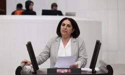 Narin Güran davası için Meclis araştırması talebi
