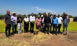 Bekir Başevirgen, Manisa, Ahmetli’de üzüm üreticilerini ziyaret etti