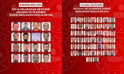 İçişleri Bakanlığı duyurdu: 60 aranan suçlu yurt dışından Türkiye’ye getirildi