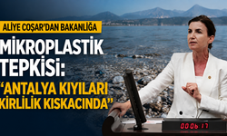 Aliye Coşar, Antalya kıyılarındaki mikroplastik kirliliğini TBMM gündemine taşıdı