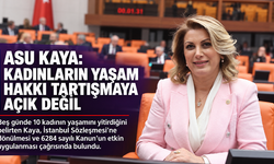Asu Kaya: Kadınların yaşam hakkı tartışmaya açık değil