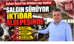 Ayhan Barut’tan iktidara şap tepkisi: “Salgın sürüyor, iktidar algı peşinde”