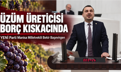 Manisalı Üzüm Üreticileri TMO Kuyruklarında İsyan Etti: “Bu Fiyatlarla Borcumuzu Bile Ödeyemeyiz”