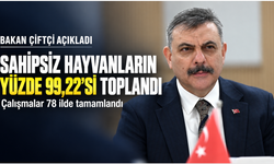 Çiftçi’den sahipsiz hayvan açıklaması: “Yüzde 99,22’si toplandı”