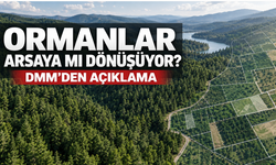 “Ormanlar Arsaya Dönüştürülüyor” İddiasına DMM’den Açıklama