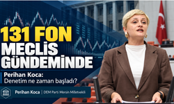 DEM Partili Perihan Koca’dan 131 fon için soru önergesi: “Denetim ne zaman başladı?”