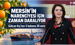 Mersin’in narenciyesi için zaman daralıyor: Gülcan Kış’tan 3 bakana 30 soru