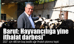 Ayhan Barut’tan 480 bin baş sığır ithalatı planına tepki: “Hayvancılığa yine ithalat darbesi”