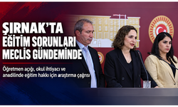 Şırnak’ın eğitim sorunları için Meclis araştırması çağrısı: Öğretmen açığı ve anadilinde eğitim gündemde