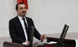 Manisalı besiciler Başevirgen’e anlattı: “Çalışırken batmak diye bir şey var; bu olsa gerek”