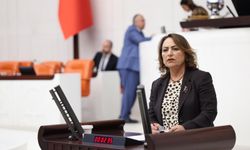 “Çukurova çiftçisi üretimden kopma noktasında”