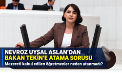 Nevroz Uysal Aslan’dan Bakan Tekin’e: Mazereti kabul edilen öğretmenler neden atanmadı?
