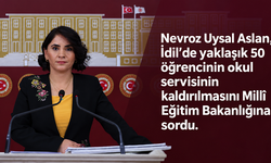 Şırnak’ta yaklaşık 50 öğrencinin okul servisi kaldırıldı: Nevroz Uysal Aslan gerekçeyi sordu