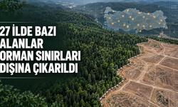 27 İlde Bazı Alanlar Orman Sınırları Dışına Çıkarıldı