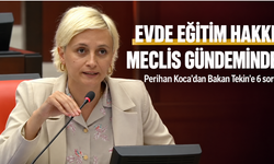 Evde eğitim hakkı Meclis gündeminde: Perihan Koca’dan Bakan Tekin’e 6 soru