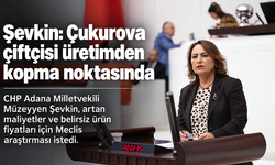 Şevkin’den Çukurova çiftçisi için Meclis araştırması çağrısı: “Üretimden kopma noktasında”