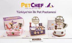 Türkiye'nin İlk Pet Pastanesi PetChef.com.tr