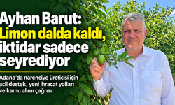 Ayhan Barut: Adana’da limon dalda kaldı, üretici acil çözüm bekliyor